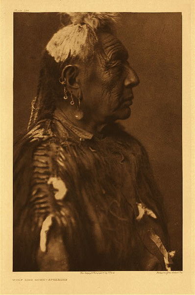 Edward S. Curtis - *50% OFF OPPORTUNITY* Plate 123 Wolf Lies Down - Apsaroke - Vintage Photogravure - Portfolio, 22 x 18 inches - Wolf Lies Down is of the Apsaroke tribe, this photograph was taken by Edward Curtis in 1908. Staring forlornly to the right, the subject’s heavily lined face is indicative of a long and hard life. He is heavily costumed wearing an interesting head ornament, multiple earrings, braided hair, and a large fur covered shirt. <br> <br>Description by Edward S. Curtis: Born about 1843. Mountain Crow; Never Shoots, Packs Game clan; Fox organization. Never obtained medicine by vision, but purchased wolf-medicine, paying five hundred elk-teeth. Counted one "dakshe" by leaping over a rocky barrier among the enemy, who were in a deep hole protected by stones and bush-the leap itself was a dangerous feet. Captured one gun and one horse tethered in an enemy camp; led one successful party against the Yanktonai at Fort Peck; was one of the leaders of a party that killed seven Sioux. Once accepted the curved stick of the Foxes, but did not have an occasion to use it, as there was little fighting in the succeeding summer. In the battle with Sioux on Pryor creek, his brother-in-law, One Feather, lost his horse and was surrounded by the enemy; Wolf Lies Down turned back, took him on his own horse, and though wounded in the head made his escape with great difficulty.