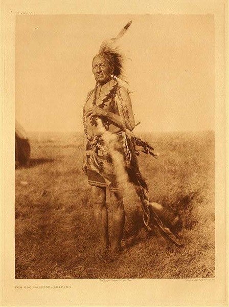 Edward S. Curtis - Plate 673 The Old Warrior - Arapaho - Vintage Photogravure - Portfolio, 22 x 18 inches - The Arapaho sought the supernatural by fasting, but unlike the other tribes this was not undertaken until after maturity. This fasting lasted anywhere from one to seven days. After awakening from their trance they would put together whatever was demanded in the vision for affecting cures, and this constituted the contents of their medicine bag. On of these items was a flat pipe which was used at special events. Their main ceremony was also the Sun Dance, which lasted seven days and was held to ensure plentiful food. - Edward Curtis
