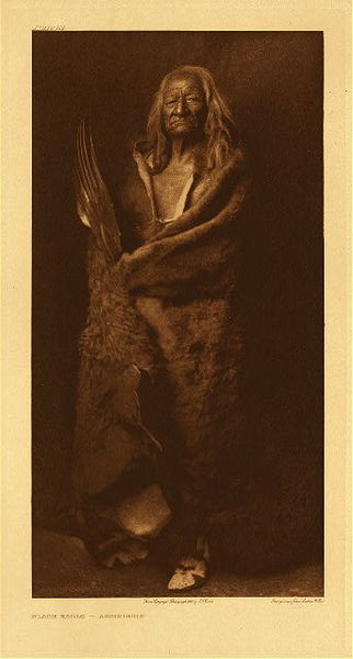 Edward S. Curtis - Plate 101 Black Eagle - Assiniboin - Vintage Photogravure - Portfolio, 22 x 18 inches - Black Eagle was born in 1834 in North Dakota to the Assiniboin tribe, a subset of the Sioux. Like many young native men, he entered the war path early in his case only thirteen years old. By his fourth time in battle he was a seasoned warrior and was able to capture 6 Yanktonai horses on his own. By the time he was photographed by Edward S. Curtis at age 74, he had killed many men in battle and had led 3 war parties. He had also had a fulfilled vision of capturing horses and had been married for 56 years. <br> <br>This powerful image displays Black Eagles full body which is adorned with a long bear robe and an eagle wing. According to legend he refused for many years to have his picture taken by Edward S. Curtis until one time he came to Curtis in the middle of the night and said “I’m ready” and that is where this photogravure came from. Photographed in 1908 this image is printed on Dutch Van Gelder paper and is available for sale in our Aspen Art Gallery.