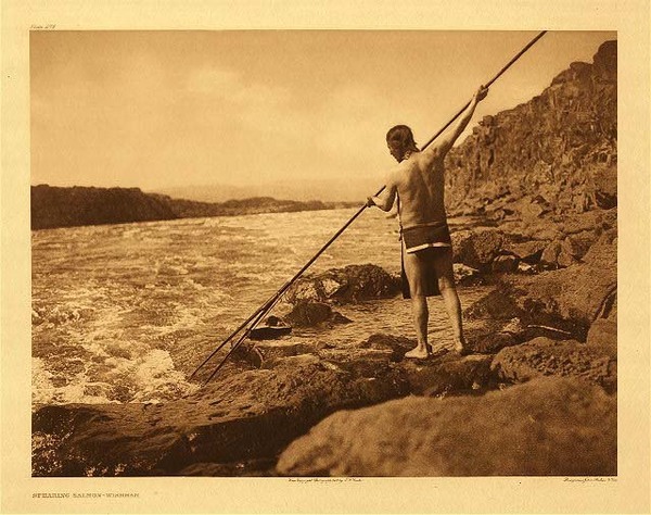 Edward S. Curtis - *50% OFF OPPORTUNITY* Plate 276 Spearing Salmon - Wisham - Vintage Photogravure - Portfolio, 18 x 22 inches - Though the Wisham preferred to fish with nets, sometimes this was not possible. In this photogravure the subject is spear-fishing most likely for salmon along the Columbia River. The water looks fiercely rapid and the large cliff and rocks make the landscape feel extreme on the shoreline. The subject is wearing a loincloth which is typical for a Wisham fisherman. <br> <br>“The nature of the shore and the height of the water level sometimes combine to make dip-netting impossible. Recourse is then had to the double-pointed spear, the socketed barbs of which are connected to the shaft by strong cords, so that when a fish is struck and its struggles detach the barbs from the prongs it is held by a hook and line.” - Edward S. Curtis