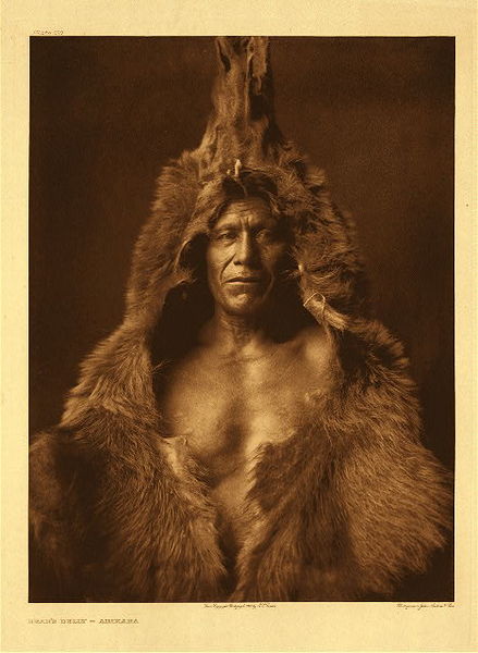 Edward S. Curtis - Plate 150 Bear's Belly - Arikara - Vintage Photogravure - Portfolio, 22 x 18 inches - Born in 1847 in present-day North Dakota, Bear's Belly was a highly respected and honored warrior of the Arikara tribe. <br> <br>He acquired his bearskin in a dramatic battle in which he single-handedly killed three bears, thus gaining his sacred medicine to remain part of him always. <br> <br>"Needing a bear-skin in my medicine-making, I went into the White Clay hills. Coming suddenly to the brink of a cliff I saw below me three bears. <br> <br>I wanted a bear, but to fight three was hard. I decided to try it, and, descending, crept up to within forty yards of them. I waited until the second one was close to the first, and pulled the trigger. <br> <br>The farther one fell; the bullet had passed through the body of one and into the brain of the other. The wounded one charged, and I ran, loading my rifle, then turned and shot again, breaking his backbone. He lay there on the ground only ten paces from me. <br> <br>A noise caused me to remember the third bear, which I saw rushing upon me only six or seven paces away. I was yelling to keep up my courage, and the bear was growling in his anger. He rose on his hindlegs, and I shot, with my gun nearly touching his chest. <br> <br>The bear with the broken back was dragging himself about with his forelegs, and I went to him and said: <br> <br>'I came looking for you to be my friend, to be with me always.' Then I reloaded my gun and shot him through the head. His skin I kept, but the other two I sold." <br> <br>Volume V, The North American Indian <br>"Bear's Belly," 1908 <br> <br>Courtesy of www.CurtisLegacyFoundation.com