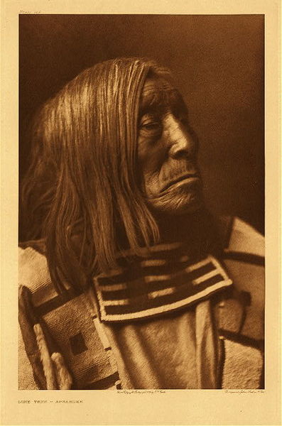 Edward S. Curtis - Plate 143 Lone Tree - Apsaroke - Vintage Photogravure - Portfolio, 22 x 18 inches - A biographical sketch of this chief and medicine man appears in Volume IV, page 202.