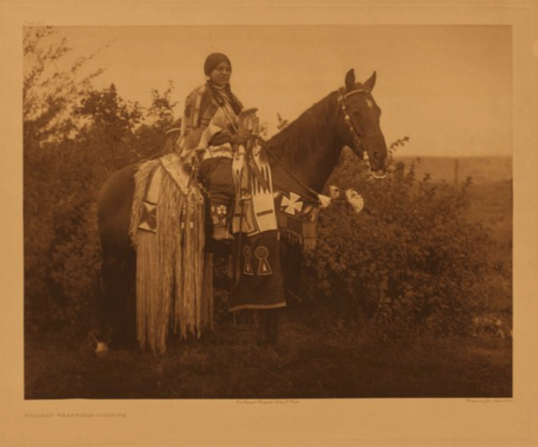 Edward S. Curtis - *50% OFF OPPORTUNITY* Plate 273 Holiday Trappings - Cayuse - Vintage Photogravure - Portfolio, 18 x 22 inches - A young Cayuse girl sits atop a beautiful horse. The landscape is plain giving all of the attention to the subject. This lovely girl and her horse are heavily adorned with deerskins that have interesting beaded designs and fringes. <br> <br>Edward Curtis' Caption: Wealthy members of the tribes living on the Umatilla reservation in Oregon spare no expense in bedecking themselves and their mounts on gala occasions. The articles of adornment are usually of deerskin, or of commercial blankets on which designs are worked in beads. <br> <br>"The Umatilla lived within what is now Oregon, occupying the valley that bears its name, and the country about its mouth on the southern bank of the Columbia. Linguistically they are most closely akin to the Yakima, from whose speech their own differs but slightly."- Edward S. Curtis