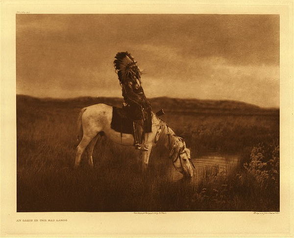 Edward S. Curtis - Plate 080 An Oasis in the Badlands - Vintage Photogravure - Portfolio, 18 x 22 inches - Born 1854. First war-party in 1865 under Crazy Horse, against troops. Led an unsuccessful war-party at twenty-two against Shoshoni. First coup when twelve horse-raiding Blackfeet were discovered in a creek bottom and annihilated. Led another party against Shoshoni, but failed to find them; encountered and surrounded a white-horse troop. From a hill overlooking the fight Red Hawk saw soldiers dismount and charge. The Lakota fled, leaving him alone. A soldier came close and fired, but missed. Red Hawk did likewise, but while the soldier was reloading his carbine he fired again with his Winchester and heard a thump and "O-h-h-h!" A Cheyenne boy on horseback rushed in and struck the soldier, counting coup. Engaged in twenty battles, many with troops, among them the Custer fight of 1876; others with Pawnee, Apsaroke, Shoshoni, Cheyenne, and even with Sioux scouts. <br>Red Hawk fasted twice. The second time, after two days and a night, he saw a vision. As he slept, something from the west came galloping and panting. It circled about him, then went away. A voice said, "Look! I told you there would be many horses!" He looked, and saw a man holding green grass in his hand. Again the voice said, "There will be many horses about this season;" then he saw the speaker was a rose-hip, half red, half green. Then the creature went away and became a yellow-headed blackbird. It alighted on one of the offering poles, which bent as if under great weight. The bird became a man again, and said, "Look at this!" Red Hawk saw a village, into which the man threw two long-haired human heads. Said the voice,"I came to tell you something, and I have now told you. You have done right." Then the creature, becoming a bird, rose and disappeared in the south. Red Hawk slept, and heard a voice saying, "look at your village!" He saw four woman going around the village with their hair on the top of their heads, and their legs aflame. Following them was a naked man, mourning and singing the death-song. Again he slept, and felt a hand on his head, shaking him, and as he awoke a voice said, "Arise, behold the face of your grandfather!" He looked to the eastward and saw the sun peeping above a ridge. The voice continued, "Listen! He is coming, anxious to eat." So he took his pipe and held the stem toward the rising sun. This time he knew he was not asleep, or dreaming: He knew he was on a hill three miles from the village. A few days later came news that of five who had gone against the enemy, four had been killed; one returned alive, and followed the four mourning wives around the camp singing the death-song. Still later they killed a Cheyenne and an Apsaroke scout, and the two heads were brought into camp.