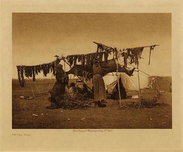 Edward S. Curtis - *50% OFF OPPORTUNITY* Drying Meat - Ogalala - Vintage Photogravure - Volume, 9.5 x 12.5 inches - "Inasmuch as the Teton, as their name (Tito-wa) indicates, have been prairie dwellers for centuries, they must be considered as such, disregarding their earlier forest life. it would seem to be without doubt that the vast herds of buffalo were the cause of their western movement. Their life was so closely associated with the bison that with the disappearance of the herds the Teton were left pitiable helpless." by Edward S. Curtis in "The North American Indian", Volume III