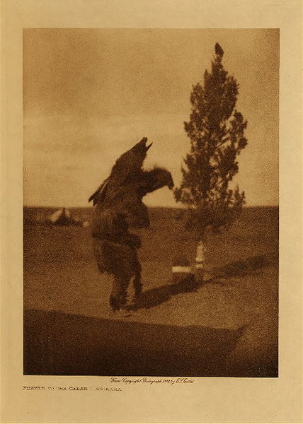 Edward S. Curtis - *50% OFF OPPORTUNITY* Prayer to the Cedar - Arikara - Vintage Photogravure - Volume, 12.5 x 9.5 inches - "The Arikara developed the legerdemain of their all summer medicine ceremony to such an extent that other tribes, far and near, learned of their wonderful and potent magic. the superstition and credulity of the Indian are such that medicine-men living afar, as well as the tribesmen of the performers, believed these tricks to be the mysterious tricks of supernatural powers."