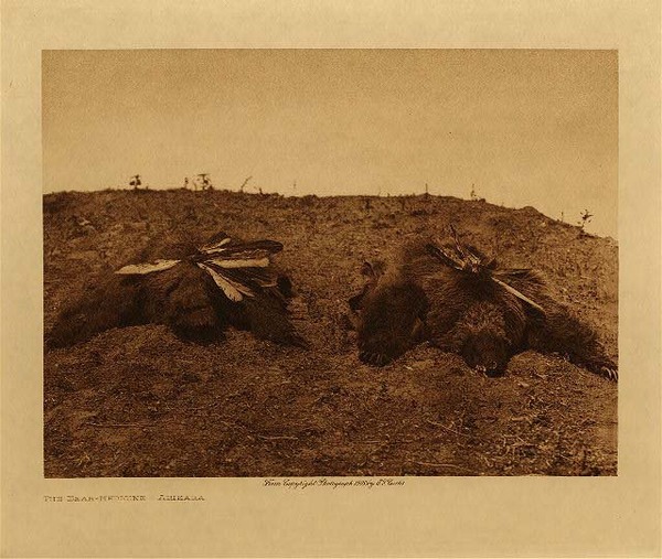 Edward S. Curtis - *50% OFF OPPORTUNITY* The Bear Medicine - Arikara - Vintage Photogravure - Volume, 9.5 x 12.5 inches