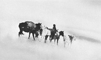 Barbara Van Cleve - Ground Blizzard - Silver Gelatin Photograph - 15 1/2 x 23 inches - Artist Statement:
<br>
<br>Although I use photography as a tool for capturing images, I know it must also be a means of revealing and sharing compassion for, love of, hope for, dreams of, information about, and the resonating memories of the “thing observed.”  All vision, which includes photographic vision, has a spiritual content.  I believe passionately that this kind of vision honors the single moments of human existence, which I try to communicate. Like a sunset or a snowflake, no two moments of life are the same.  Photography is a great gift to me, and one that comes with equally as much responsibility.