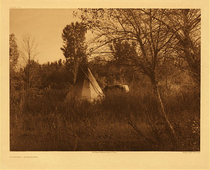 Edward S. Curtis -   Plate 130  Autumn - Apsaroke - Vintage Photogravure - Portfolio, 18 x 22 inches - Description by Edward Curtis: An autumn scene in the valley of Little Bighorn.
<br>
<br>A peaceful scene, this Apsaroke camp is tucked into the trees and displays one simple tipi and two horses. 
<br>
<br>"The country which the Apsaroke ranged and claimed as their own was an extensive one for so small a tribe. In area it may be compared, east and west, to the distance from Boston to Buffalo, and north to south, from Montreal to Washington — certainly a vast region to be dominated by a tribe never numbering more than fifteen hundred warriors. The borders of their range were, roughly, a line extending from the mouth of the Yellowstone southward through the Black Hills, thence westward to the crest of the Wind River mountains, northwestward through the Yellowstone Park to the site of Helena, thence to the junction of the Musselshell and the Missouri, and down the latter stream to the mouth of the Yellowstone. This region is the veritable Eden of the Northwest. With beautiful broad valleys and abundant wooded streams, no part of the country was more favorable for buffalo, while its wild forested mountains made it almost unequalled for elk and other highland game."