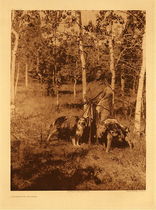 Edward S. Curtis - Plate 630 Assiniboin Hunter - Vintage Photogravure - Portfolio: 18 x 22.5 inches - Plate 630 of Edward S. Curtis’ North American Indian depicts a hunter in the woods accompanied by his hunting dogs, which would likely be half-wolf. Hunters in the Assiniboin and most tribes were essential for the survival of the people. They were the providers of food for the camps. This tribe may have been one of the poorer tribes, poorer tribes would have had less horses and would have to move on foot with dogs used as pack animals. This photo by Edward S. Curtis was printed in 1926 and is now available for sale in our Aspen Art Gallery.