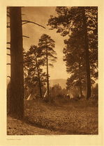 Edward S. Curtis - Plate 231 Flathead Camp - Vintage Photogravure - Portfolio, 22 x 18 inches - Taken by Edward S. Curtis in 1910, this image depicts a small camp tucked into the trees in what could have Washington, Idaho, or Montana where the Flathead resided. The flathead tribe were known to have many horses which resulted often in invasions by less fortunate tribes. This atmospheric piece was printed in 1910 by Edward S. Curtis for his North American Indian project. The piece is printed on Japon Vellum and is for sale at our Aspen Art Gallery.