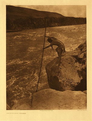 Edward S. Curtis - Plate 274 Wishham Fisherman - Vintage Photogravure - Portfolio, 22 x 18 inches - “Among the middle course of the Columbia at places where the abruptness of the shore and the up-stream set of an eddy make such method possible, salmon were taken, and still are taken, by means of a long-hauled dip-net. At favorable seasons a man will, in a few hours, secure several hundred salmon - as many as the matrons and girls of his household can care for in a day.” – Edward Curtis
<br>
<br>The Wishham did not follow game, nor wander from their villages on the Columbia river. Neither were they hunters of buffalo, nor farmers. They depended upon the fish taken from the river and surrounding plants. As such their homes were permanent structures of timbers and planks located close to the river.
<br>
<br>Their position on the river being one of the very best for taking fish, the Wishham had an unlimited supply for their own use and ample stores for barter, which gave them everything they needed. Volume VIII of The North American Indian