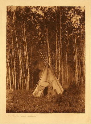 Edward S. Curtis - Plate 616 Chipewyan Tipi among the Aspens - Vintage Photogravure - Portfolio, 22 x 18 inches