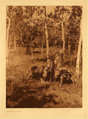 Edward S. Curtis -   Plate 630 Assiniboin Hunter - Vintage Photogravure - Portfolio, 22 x 18 inches - Plate 630 of Edward S. Curtis’ North American Indian depicts a hunter in the woods accompanied by his hunting dogs, which would likely be half-wolf. Hunters in the Assiniboin and most tribes were essential for the survival of the people. They were the providers of food for the camps. This tribe may have been one of the poorer tribes, poorer tribes would have had less horses and would have to move on foot with dogs used as pack animals. This photo by Edward S. Curtis was printed on Japon Vellum paper in 1926 and is now available for sale in our Aspen Art Gallery.
