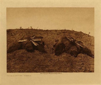 Edward S. Curtis - *50% OFF OPPORTUNITY* The Bear Medicine - Arikara - Vintage Photogravure - Volume, 9.5 x 12.5 inches