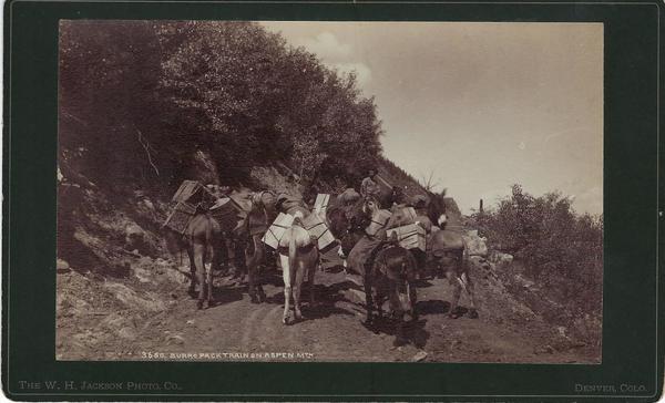 Vintage Aspen Mining Claim Maps and Photographs - Burro Pack Train on Aspen Mountain - Vintage Boudoir Card - 5 x 8 inches