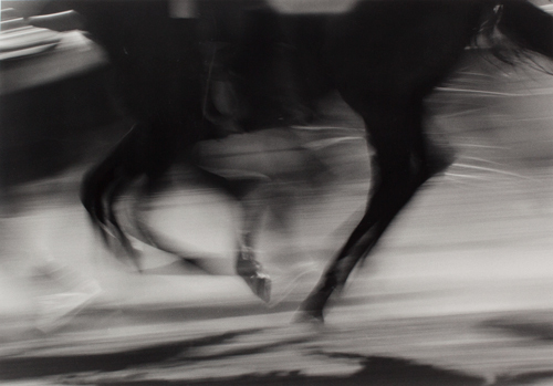 Barbara Van Cleve - Dance of the Runaway Horses - Silver Gelatin Photograph - 13 1/8 x 19 3/16 inches - Artist Statement: <br> <br>During my own work, when I am often in a whirlwind of activity, there is a center of quiet, a meditative area. I attempt not so much to “pre-visualize” or “conceive” an image as to “reveal” it. Then, and nearly simultaneously, that effort is filtered through my imagination and the layers of previous similar experiences to reveal the spirit of the truth of the “thing observed.”
