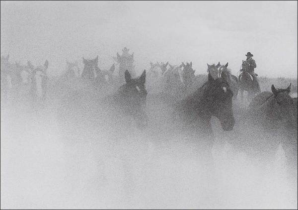 Barbara Van Cleve - Ghost Horses border=