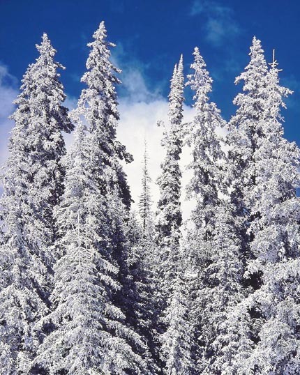 Christopher Burkett - White Snow Spires, Colorado border=