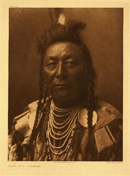 Edward S. Curtis - Plate 124 Plenty Coups - Apsaroke - Vintage Photogravure - Portfolio, 22 x 18 inches - As indicated by the name “Plenty Coups”, this Apsaroke man has seen and won many battles. Counting Coup is one of the highest honors in Native American culture, and men begin on the war path at a fairly young age. In this image Plenty Coups stares into the camera with distrust. His hair is also indicative of being a part of many battles and perhaps collecting scalps. <br> <br>Description by Edward S Curtis: Born 1847. Mountain Crow of the Whistle Water clan. When he was about sixteen years of age his brother was killed at Tongue river by the Sioux, and the boy climbed for two days to reach a peak in the Crazy mountains, there to give vent to his grief and to pray for revenge. He addressed the sun: "Father, the enemy have slain my brother. I wish them to cry often for my hand, and in return I give you my finger." Then he hacked off the end of his left index-finger, crying, "Father, my body is clean and pure; I give a portion of it to you. I am a poor young man; take pity on me." "In those days," says Plenty Coups, "no white man had defiled the mountains; the spirits dwelt there and I sought their power." He had at the time already been on the war-path, and now began to take the trail with great frequency, so that at the age of twenty-six he had counted a coup of each kind and was called chief. Subsequently his record was four coups of each of the four sorts-striking the first enemy in a battle, capturing a gun, taking a tethered horse from an enemy camp, and leading a successful war-party-and as no other Apsaroke could equal his achievements he became, on the death of Pretty Eagle in 1903, the chief of the tribe.