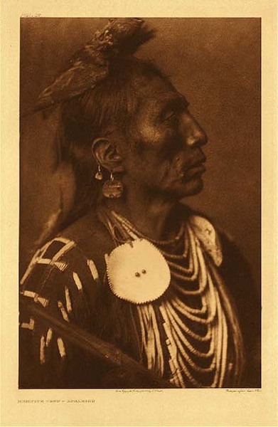 Edward S. Curtis - Plate 117 Medicine Crow - Apsaroke border=