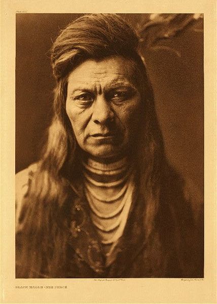 Edward S. Curtis - Plate 265 - Black Eagle - Nez Perce border=