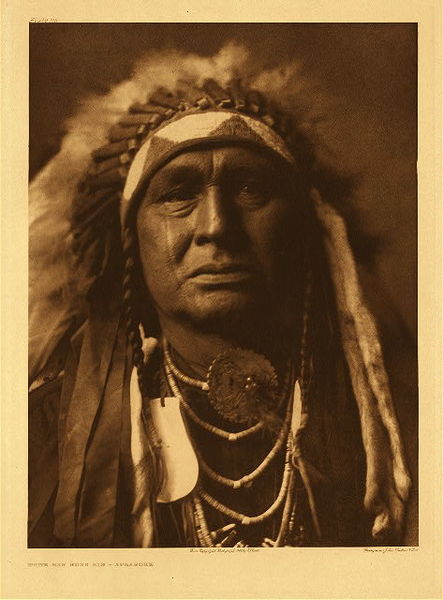 Edward S. Curtis - Plate 115 White Man Runs Him (One of Custer’s Crow Scouts) border=