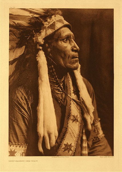 Edward S. Curtis - Plate 259 Raven Blanket - Nez Perce - Vintage Photogravure - Portfolio, 22 x 18 inches - This profile reveals the details of the Nez Perce headdress and clothing. <br>“The war-bonnet of eagle-feathers, with pendant weasel-skins, as well as the otter-fur wrappings of his hair braids, indicates the extent to which the Nez Perce were influenced by the Indians of the prairies, whom they met in their annual pilgrimage to the buffalo country.” – Edward Curtis <br> <br>The North American Indian lifestyle included shared hunting and summering grounds. As a result, many clothing, customs and mythologies were adopted for their practicality and, in the case of this headdress, grandeur. <br> <br>Outside of the ceremonial, the clothing of both sexes was plains style, with the single exception of the fez shaped basket hats of the women. The usual material for clothing was deerskin, but the dresses of women were frequently of mountain-sheep skin. <br> <br>Raven Blanket is dressed in a full headdress here and is staring off into the distance. His sad eyes are representative of the treatment that his people endured since the White Man come to his land. <br> <br>"The history of the Nez Perces, when studied as a part of the North American Indian's conflict with civilization, is convincing that there was absolutely no course, policy, or conduct open to him which insured fair treatment, nor was there any road open to him which seemed materially to alleviate the situation or to stay the grasping encroachment. The inert, unorganized Indians of southern California were literally crowded from the earth. The fact that they, with their pacific disposition, made no resistance has no effect on the covetous settler, nor did it cause the Government to reach to them a helping hand in appreciation of their good behavior. They suffered through good conduct. The warlike, haughty tribes of the plains stood the imposition as long as they could, and then their long-smoldering resentment broke into flame and they struck back as only Indians can, and they suffered through their hostility. The Nez Perces, a mentally superior people were friendly from their first contact with white men, and as a tribe they always desired to be so. Their history since 1855, and particularly the war of 1877, tells how they were repaid for their loyalty to the white brother." <br> <br>From Edward S Curtis' North American Indian.