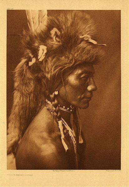 Edward S. Curtis - Plate 196 Yellow Kidney - Piegan - Vintage Photogravure - Portfolio, 22 x 18 inches - The portrait shows Apuyotoksi (Light-colored Kidney) wear a wolf-skin war bonnet. <br> <br>Similar to the well-known headdress the war bonnet would be worn into battle or for ceremonial purposes. Generally the war bonnets or headdresses would only be worn by someone of great respect in their tribe. This photograph by Edward S. Curtis was taken in 1910 and shows the subject in profile. Yellow Kidney is of young or middle age and very attractive, he appears to be posing in front of a tipi backdrop which likely would have been Edward S. Curtis’ tipi. <br> <br>The men of the Piegan tribe were organized into a series of warrior societies in which membership was based on age. Arranged in the order of the age of their members these groups were: Doves, Flies, Braves, All Brave Dogs, Tails, Raven bearers, Dogs, Kit-foxes, Catchers, and Bulls. As a whole they were known as 'All Comrades.' The function of the societies was primarily to preserve order in the camp during the march, and on the hunt; to protect the camp by guarding against possible sunrise by the enemy; to be informed at all times as to the movement of the buffalo herds; and secondarily by intersociety rivalry to cultivate the military spirit, and by their feasts and dances to minister to the desire of members for social recreation.