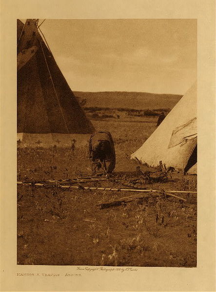 Edward S. Curtis - Making a Travois - Atsina - Vintage Photogravure - Volume, 12.5 x 9.5 inches - Before horses were acquired, perhaps in the early years of the nineteenth century, the dog-travois was the means of conveyance; later, vehicles of the same kind, only larger, were drawn by horses.
