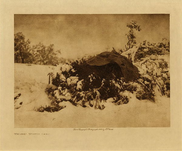 Edward S. Curtis - *50% OFF OPPORTUNITY* Walapai Winter Camp - Vintage Photogravure - Volume, 9.5 x 12.5 inches