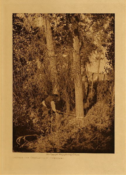 Edward S. Curtis - *50% OFF OPPORTUNITY* Cutting the Centre Pole - Cheyenne - Vintage Photogravure - Volume, 12.5 x 9.5 inches
