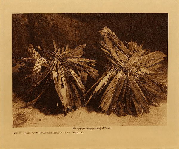 Edward S. Curtis - *50% OFF OPPORTUNITY* The Turtles with Feather Adornment - Mandan - Vintage Photogravure - Volume, 9.5 x 12.5 inches