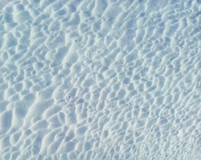  Title: Summer Snowbank, Alaska , Size: 30 x 40 inches , Medium: Cibachrome Photograph , Signed: L/R