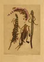  Title: Navel Amulets - Piegan , Date: 1911 , Size: Volume, 12.5 x 9.5 inches , Medium: Vintage Photogravure , Edition: Vintage