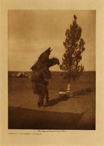 Edward S. Curtis -  *40% OFF OPPORTUNITY* Prayer to the Cedar - Arikara - Vintage Photogravure - Volume, 12.5 x 9.5 inches - "The Arikara developed the legerdemain of their all summer medicine ceremony to such an extent that other tribes, far and near, learned of their wonderful and potent magic. the superstition and credulity of the Indian are such that medicine-men living afar, as well as the tribesmen of the performers, believed these tricks to be the mysterious tricks of supernatural powers."