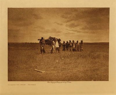 Edward S. Curtis - Bringing the Cedar - Arikara - Vintage Photogravure - Volume, 9.5 x 12.5 inches