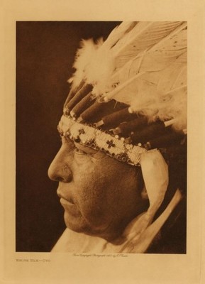 Edward S. Curtis -   White Elk - Oto - Vintage Photogravure - Volume, 12.5 x 9.5 inches