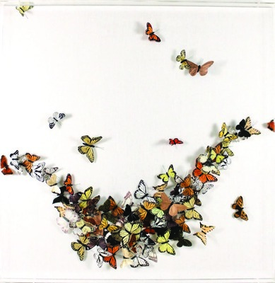 Juan Carlos Collada - Honey Pot - Hand Dyed & Painted Feather Butterflies - 48 x 48 inches - WHAT INSPIRES YOU? <br> <br>"I think the beauty of being an artist is that you have the capacity to find inspiration in many, many places. I find beauty and inspiration in nature, in people’s minds, books… it’s kind of endless. You could put me in an empty room with three inanimate objects and I can pretty much guarantee you I’m going to try to make something that pleases my eye or makes that room a feel a little better for me. When I was a child, I often ignored my toys to build or make something out of found objects around my house or yard. In a way, I wish I still lived in a place where there were fewer choice. These days if you want some inspiration, you need only to turn on your iPad and google something. I have so many ideas at once that I sometimes don’t know where to start." -Juan Carlos Collada