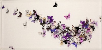 Juan Carlos Collada - Untitled II - Hand Dyed, Hand Painted Feather Butterflies - 30 x 60 inches