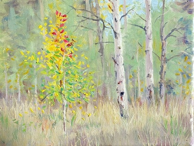  Title: Fire Sapling , Size: 8 x 10 inches , Medium: Oil on Canvas