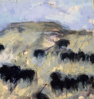  Title: Blue Creek Angus Dr. #16 , Size: 22 x 20 inches , Medium: Oil, Encaustic, Graphite on Paper , Signed: Signed