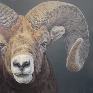 Press Release- VFA Presents Andrew Bolam, Cutting-edge American Wildlife Painter